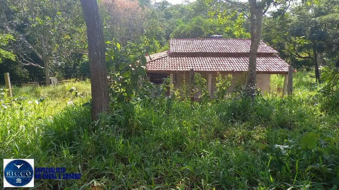 Chácara com 3 quartos à venda, 24000m2 em Bonfinopolis - GO - imagem 6 Foto 6 de Chácara com 3 quartos à venda, 24000m2 em Bonfinopolis - GO