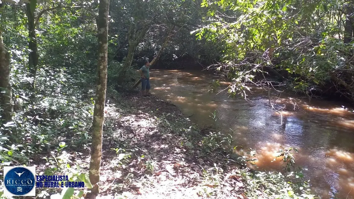 Chácara com 3 quartos à venda, 24000m2 em Bonfinopolis - GO - imagem 4 Foto 4 de Chácara com 3 quartos à venda, 24000m2 em Bonfinopolis - GO