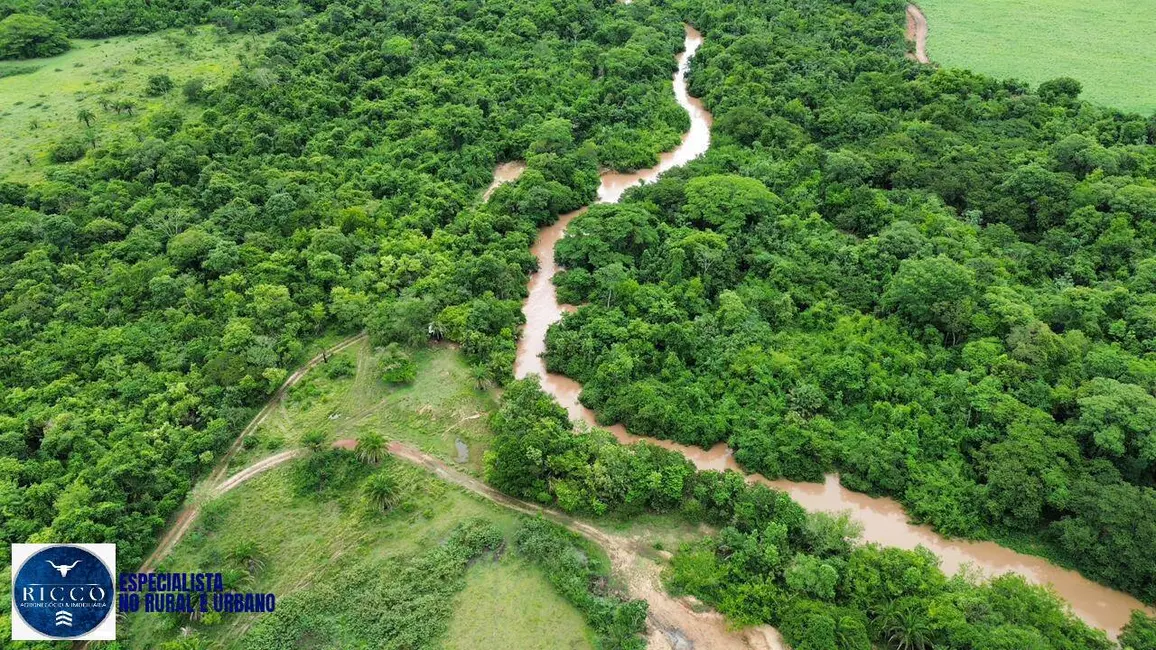 Chácara com 3 quartos à venda, 17m2 em Indiara - GO - imagem 5 Foto 5 de Chácara com 3 quartos à venda, 17m2 em Indiara - GO