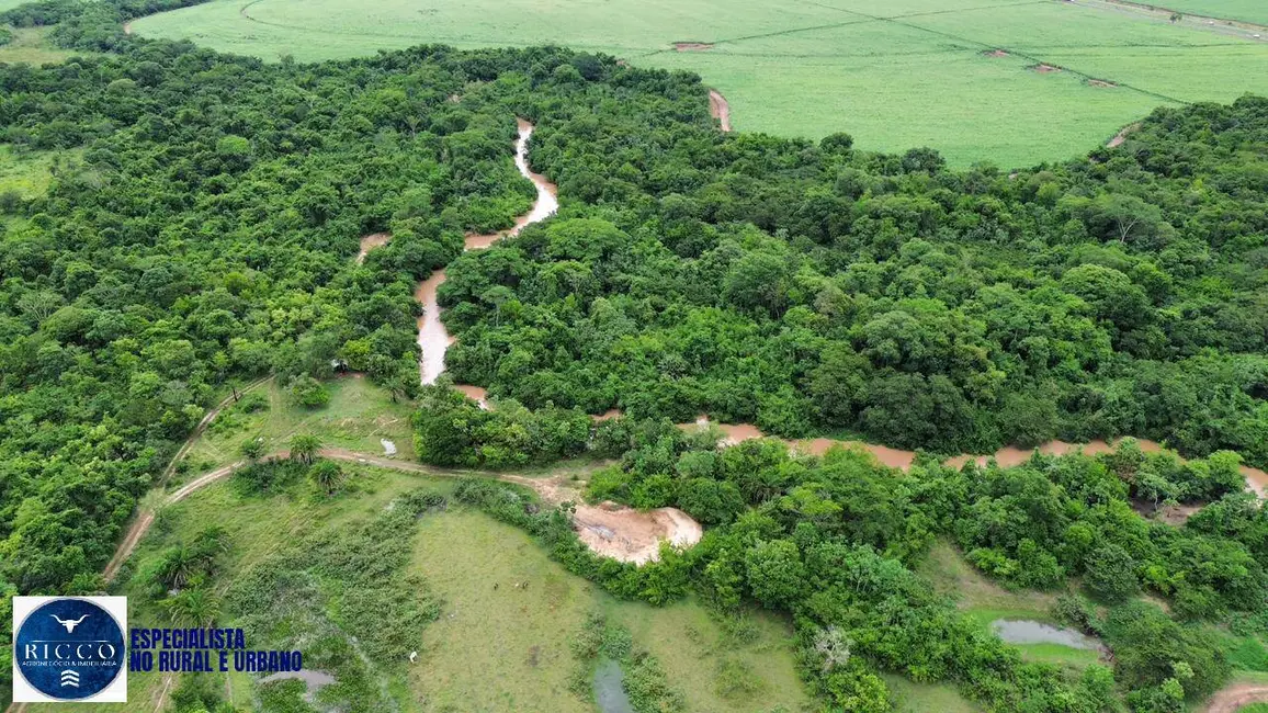 Chácara com 3 quartos à venda, 17m2 em Indiara - GO - imagem 3 Foto 3 de Chácara com 3 quartos à venda, 17m2 em Indiara - GO