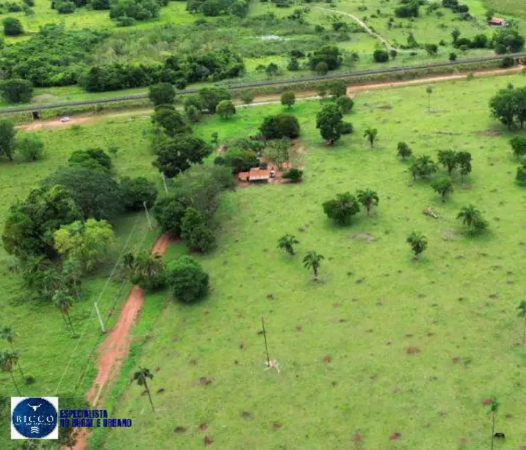 Chácara com 3 quartos à venda, 17m2 em Indiara - GO - imagem 7 Foto 7 de Chácara com 3 quartos à venda, 17m2 em Indiara - GO