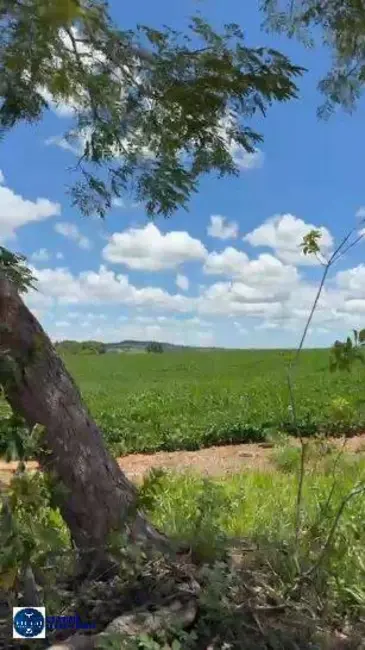 Foto 1 de Fazenda / Haras com 2 quartos à venda, 44m2 em Sao Luis De Montes Belos - GO