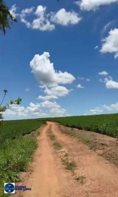 Foto 3 de Fazenda / Haras com 2 quartos à venda, 44m2 em Sao Luis De Montes Belos - GO