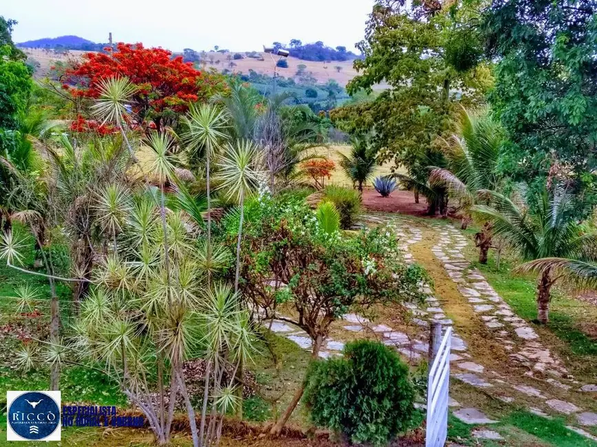 Foto 8 de Chácara com 4 quartos à venda, 50000m2 em Caturai - GO