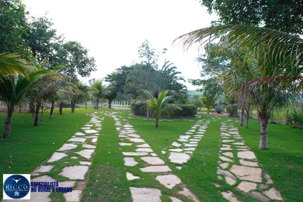 Foto 6 de Chácara com 4 quartos à venda, 50000m2 em Caturai - GO