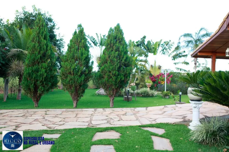 Foto 7 de Chácara com 4 quartos à venda, 50000m2 em Caturai - GO