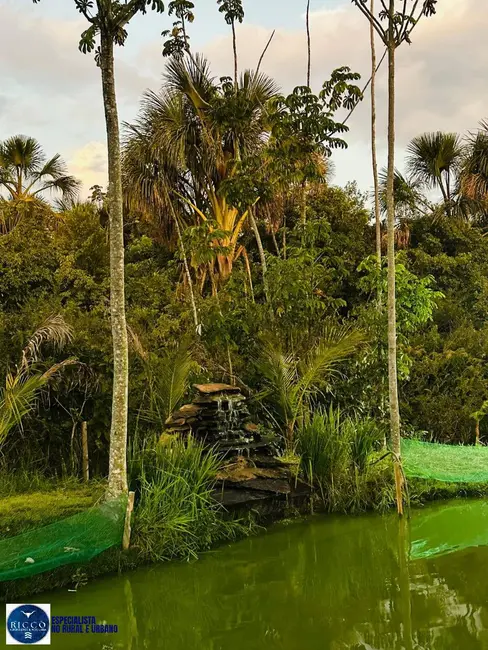 Foto 9 de Chácara com 1 quarto à venda, 6450m2 em Cristianopolis - GO