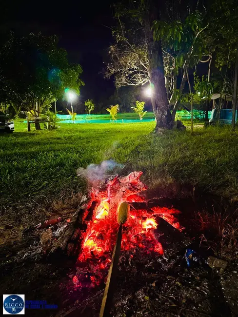 Foto 6 de Chácara com 1 quarto à venda, 6450m2 em Cristianopolis - GO
