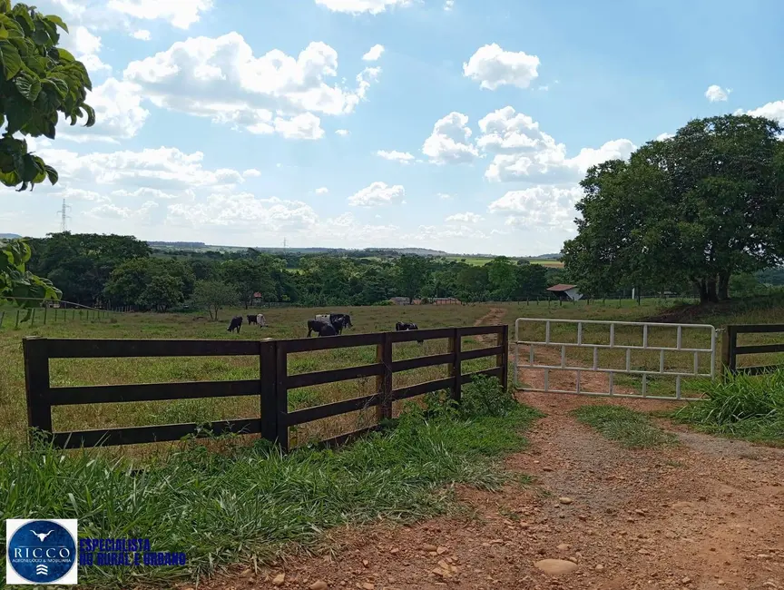 Foto 3 de Chácara com 3 quartos à venda, 20000m2 em Guapo - GO