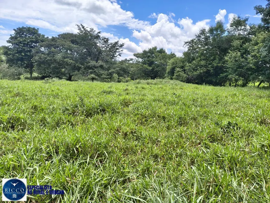Foto 8 de Chácara com 4 quartos à venda, 10m2 em Goiás - GO