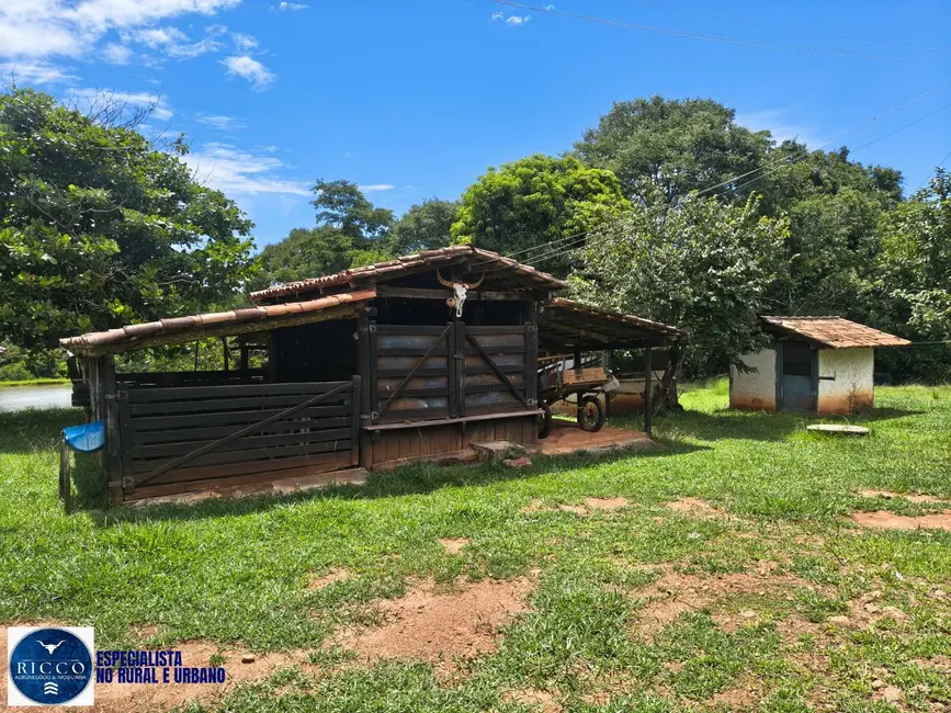 Foto 4 de Chácara com 4 quartos à venda, 10m2 em Goiás - GO