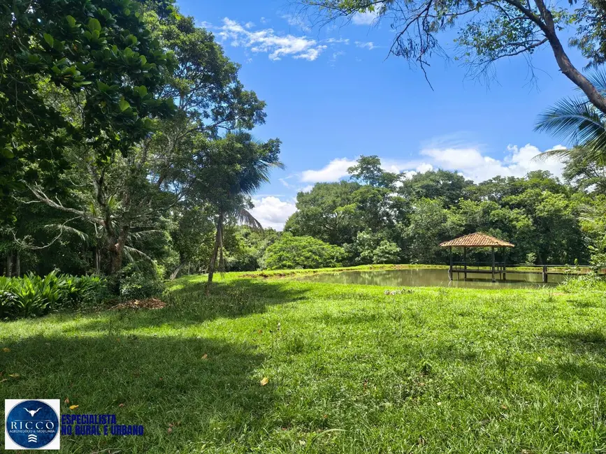 Foto 7 de Chácara com 4 quartos à venda, 10m2 em Goiás - GO