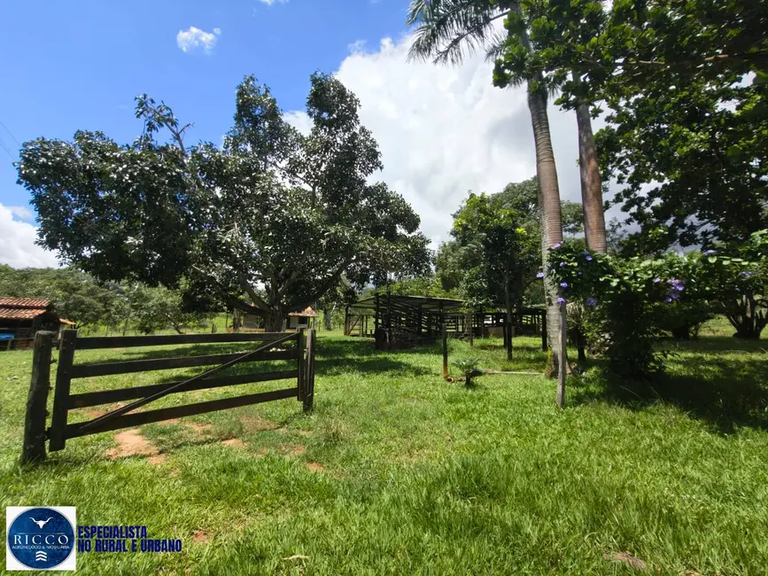 Foto 5 de Chácara com 4 quartos à venda, 10m2 em Goiás - GO