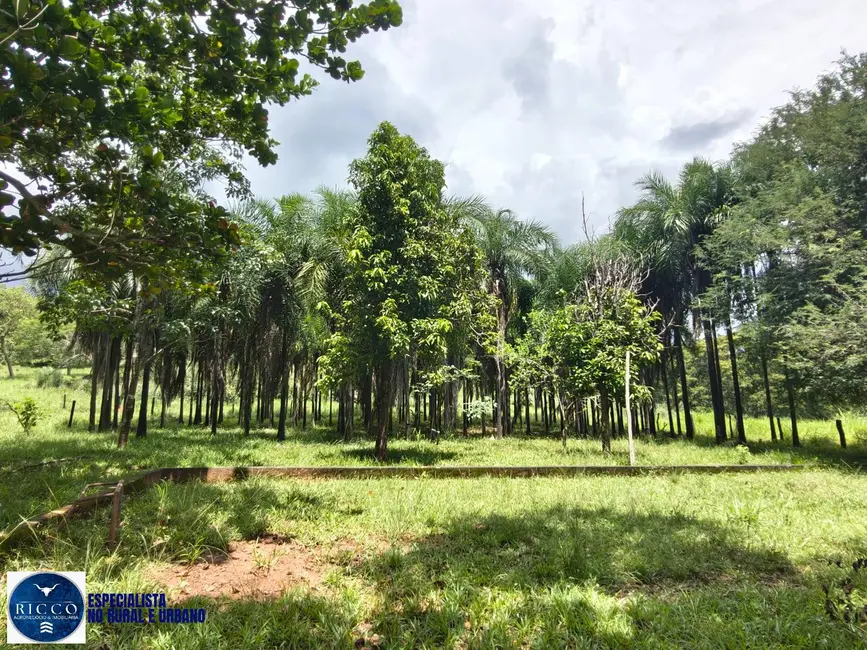 Foto 9 de Chácara com 4 quartos à venda, 10m2 em Goiás - GO