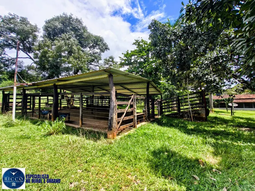 Foto 6 de Chácara com 4 quartos à venda, 10m2 em Goiás - GO