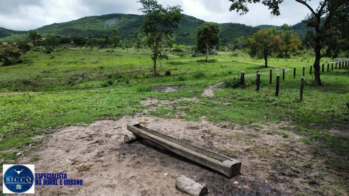 Foto 5 de Fazenda / Haras com 3 quartos à venda, 146m2 em Minacu - GO