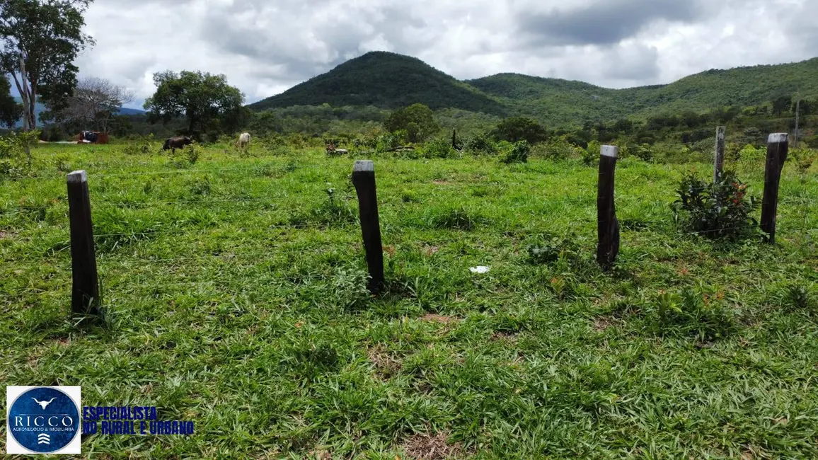 Foto 9 de Fazenda / Haras com 3 quartos à venda, 146m2 em Minacu - GO