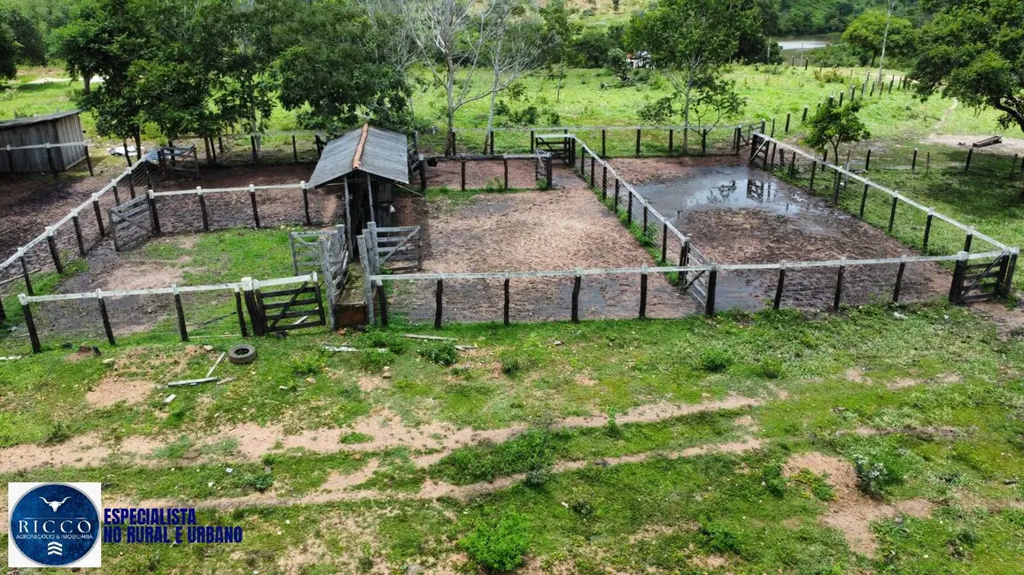 Foto 2 de Fazenda / Haras com 3 quartos à venda, 146m2 em Minacu - GO