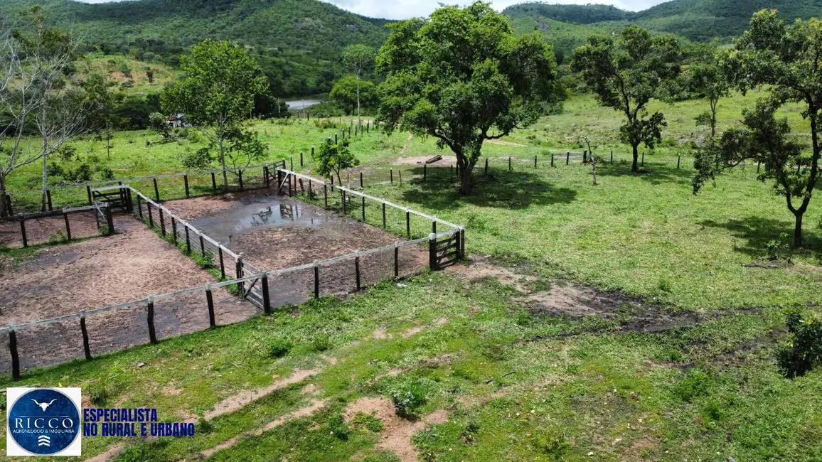 Foto 8 de Fazenda / Haras com 3 quartos à venda, 146m2 em Minacu - GO