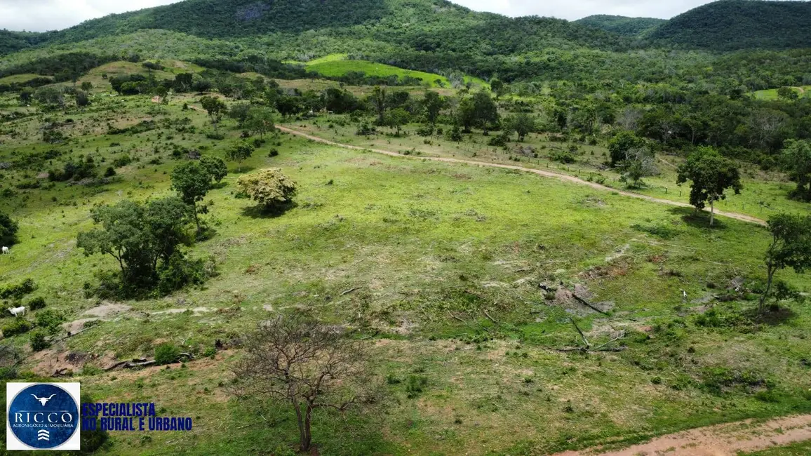 Foto 4 de Fazenda / Haras com 3 quartos à venda, 146m2 em Minacu - GO