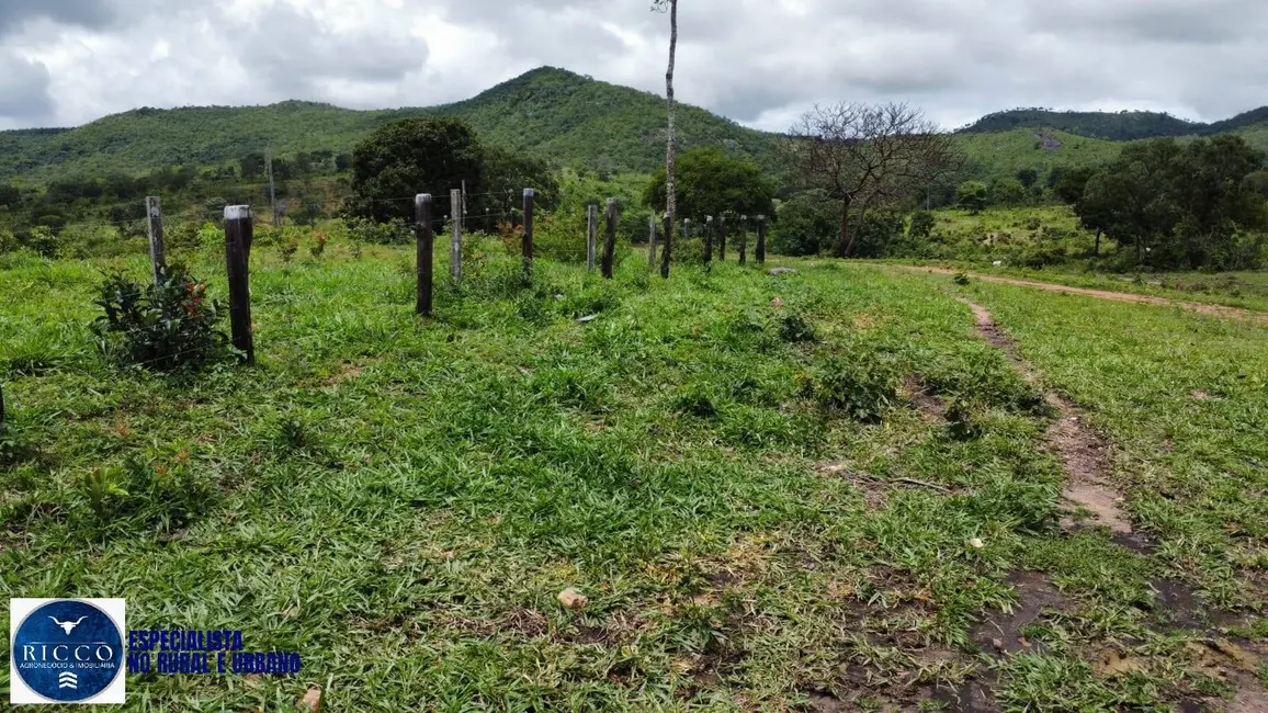 Foto 6 de Fazenda / Haras com 3 quartos à venda, 146m2 em Minacu - GO
