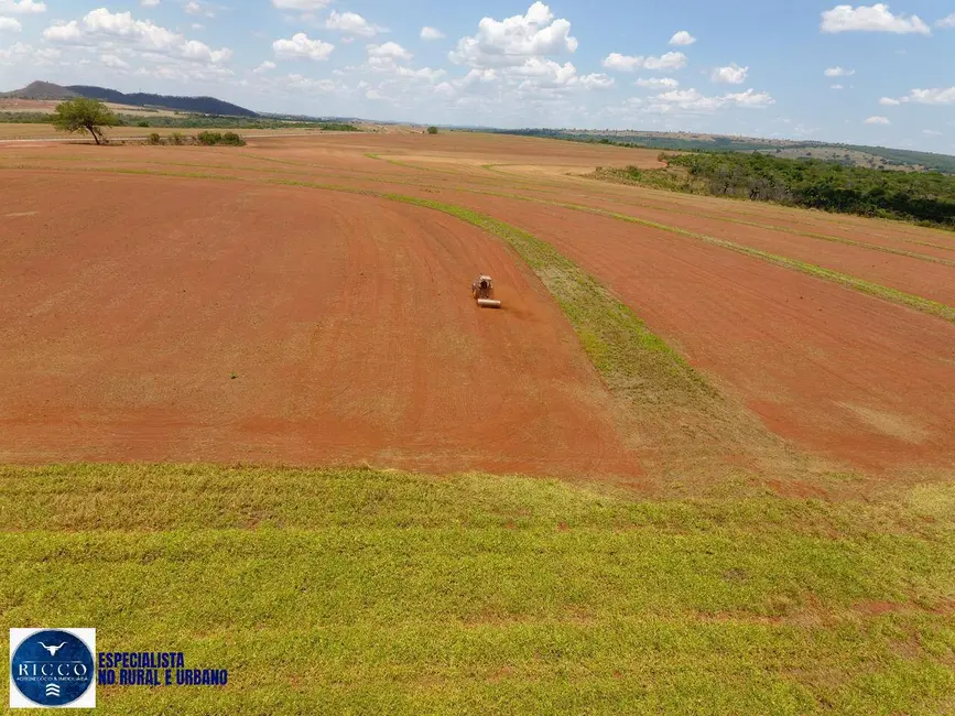 Foto 6 de Fazenda / Haras com 3 quartos à venda, 140m2 em Caiaponia - GO
