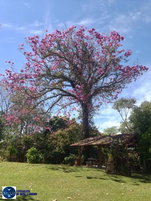 Foto 2 de Chácara com 6 quartos à venda em Anicuns - GO