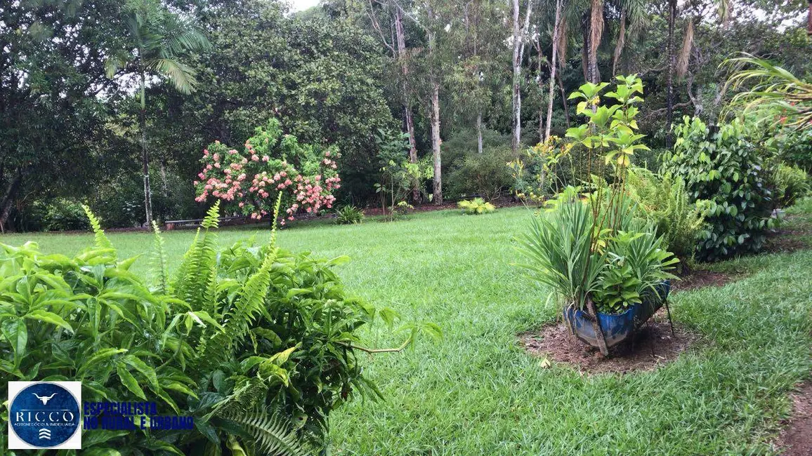 Foto 9 de Chácara com 6 quartos à venda em Anicuns - GO