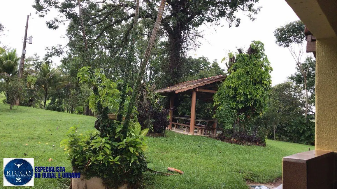 Foto 8 de Chácara com 6 quartos à venda em Anicuns - GO