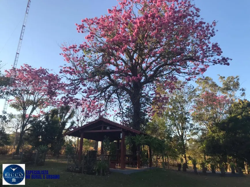 Foto 3 de Chácara com 6 quartos à venda em Anicuns - GO