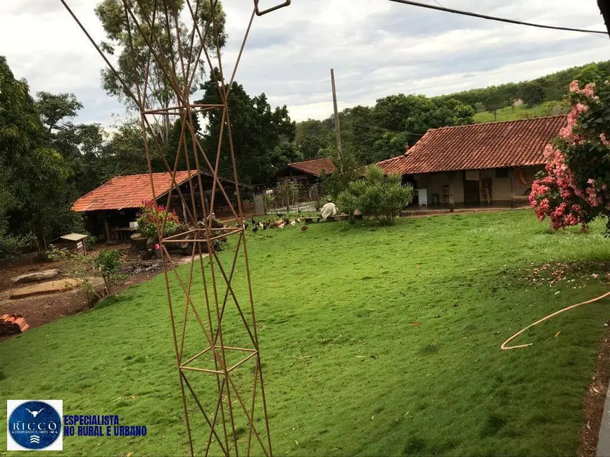 Foto 4 de Chácara com 6 quartos à venda em Anicuns - GO