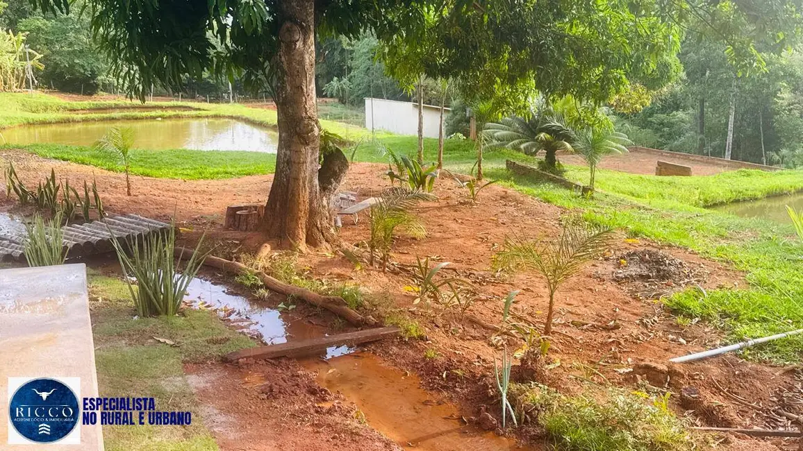 Foto 6 de Chácara com 3 quartos à venda em Abadiania - GO