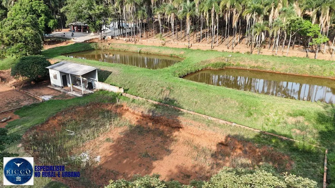 Foto 1 de Chácara com 3 quartos à venda em Abadiania - GO