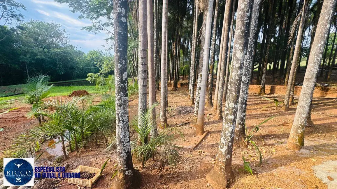 Foto 7 de Chácara com 3 quartos à venda em Abadiania - GO