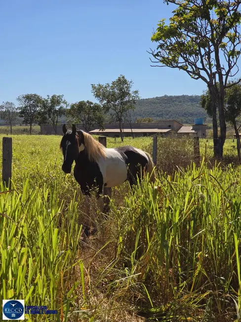 Foto 6 de Fazenda / Haras com 4 quartos à venda, 536m2 em Ponte Alta Do Tocantins - TO