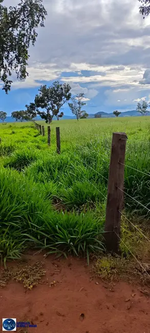 Foto 4 de Fazenda / Haras com 4 quartos à venda, 536m2 em Ponte Alta Do Tocantins - TO