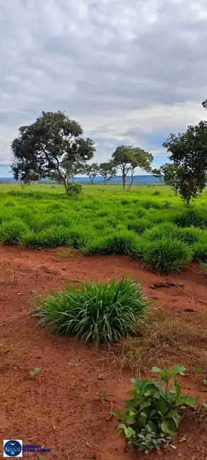 Foto 8 de Fazenda / Haras com 4 quartos à venda, 536m2 em Ponte Alta Do Tocantins - TO