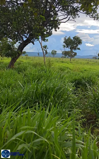 Foto 5 de Fazenda / Haras com 4 quartos à venda, 536m2 em Ponte Alta Do Tocantins - TO