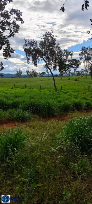 Foto 9 de Fazenda / Haras com 4 quartos à venda, 536m2 em Ponte Alta Do Tocantins - TO