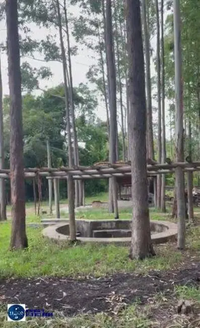 Foto 3 de Chácara com 3 quartos à venda, 9m2 em Itapuranga - GO