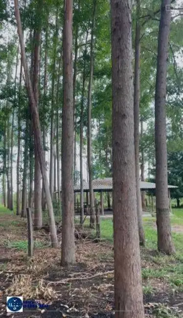 Foto 5 de Chácara com 3 quartos à venda, 9m2 em Itapuranga - GO