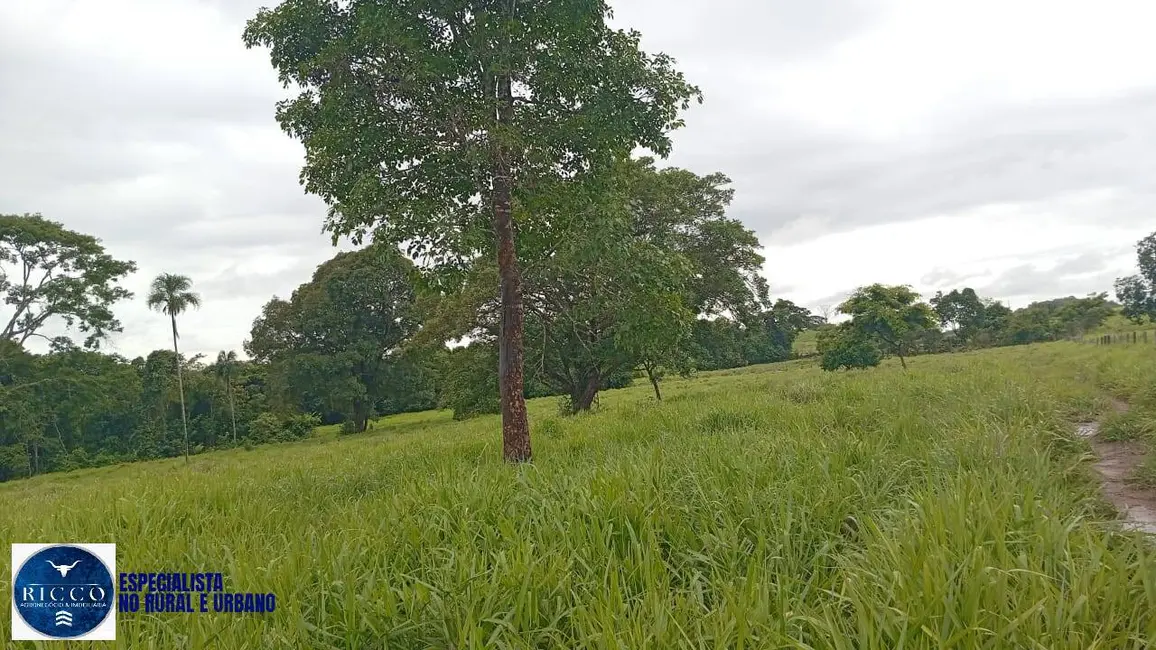 Foto 9 de Fazenda / Haras com 4 quartos à venda, 54m2 em Uruana - GO