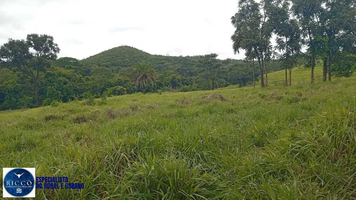 Foto 6 de Fazenda / Haras com 4 quartos à venda, 54m2 em Uruana - GO