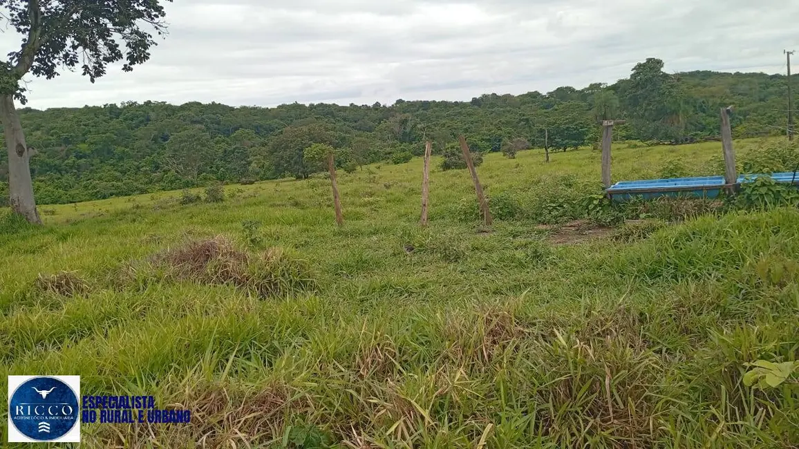 Foto 8 de Fazenda / Haras com 4 quartos à venda, 54m2 em Uruana - GO