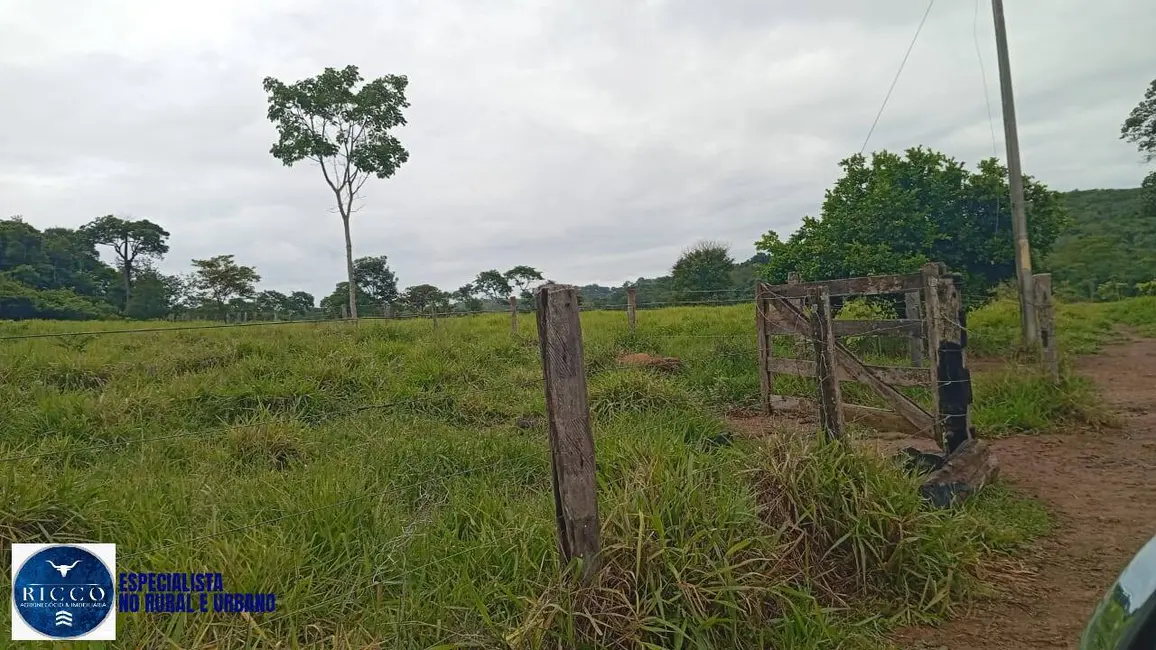 Foto 7 de Fazenda / Haras com 4 quartos à venda, 54m2 em Uruana - GO