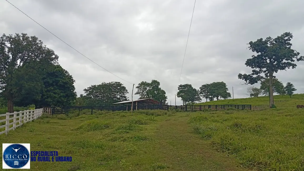 Foto 5 de Fazenda / Haras com 4 quartos à venda, 54m2 em Uruana - GO