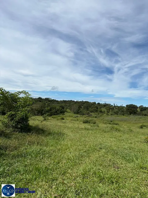Foto 3 de Fazenda / Haras com 3 quartos à venda, 47m2 em Morrinhos - GO