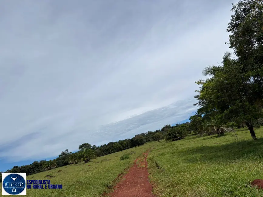 Foto 4 de Fazenda / Haras com 3 quartos à venda, 47m2 em Morrinhos - GO