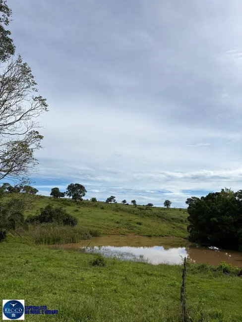 Foto 5 de Fazenda / Haras com 3 quartos à venda, 47m2 em Morrinhos - GO