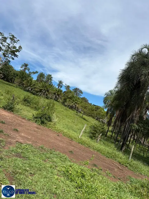 Foto 7 de Fazenda / Haras com 3 quartos à venda, 47m2 em Morrinhos - GO
